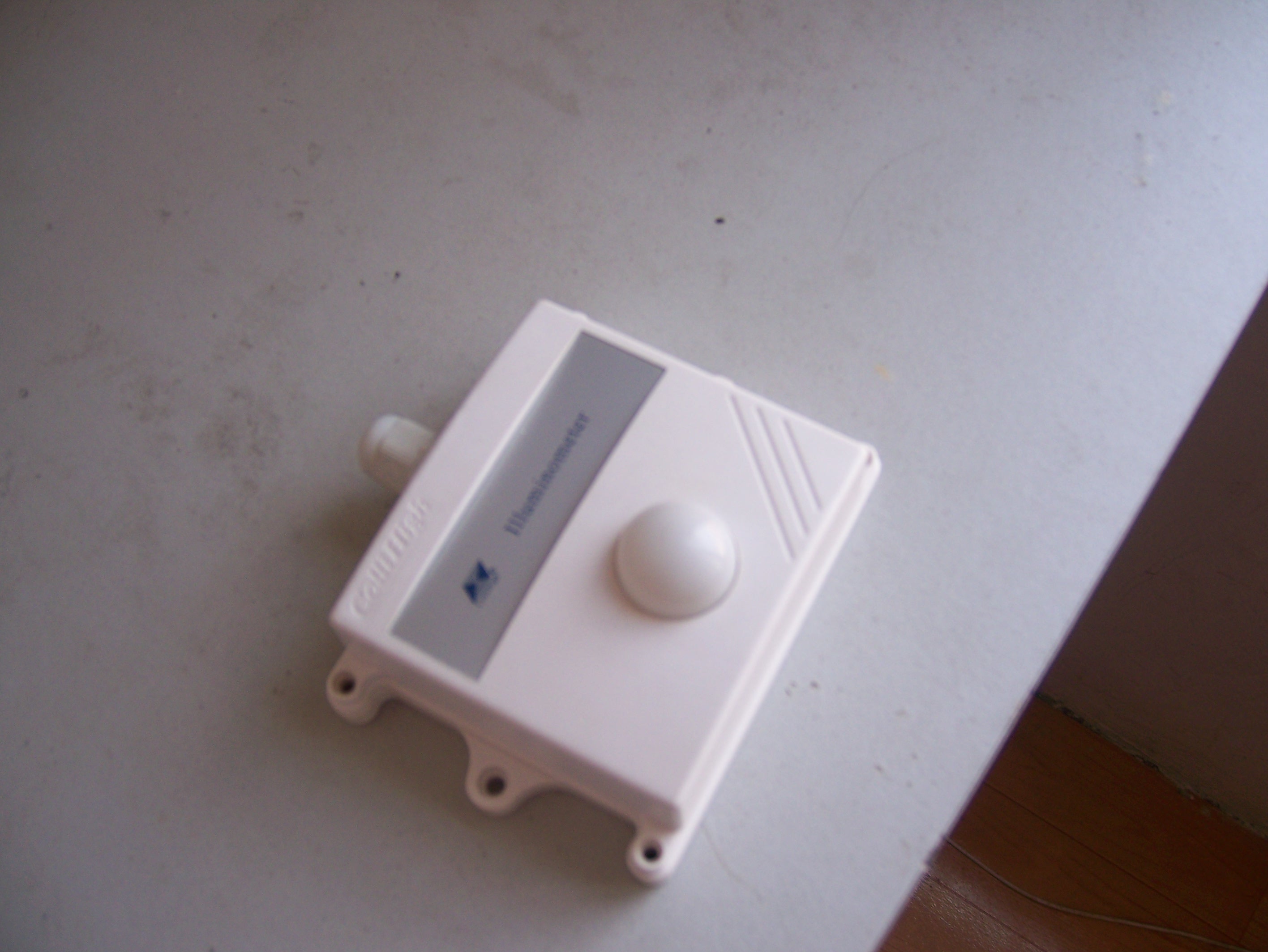 ���Ղ�����